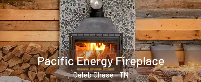 Pacific Energy Fireplace Caleb Chase - TN