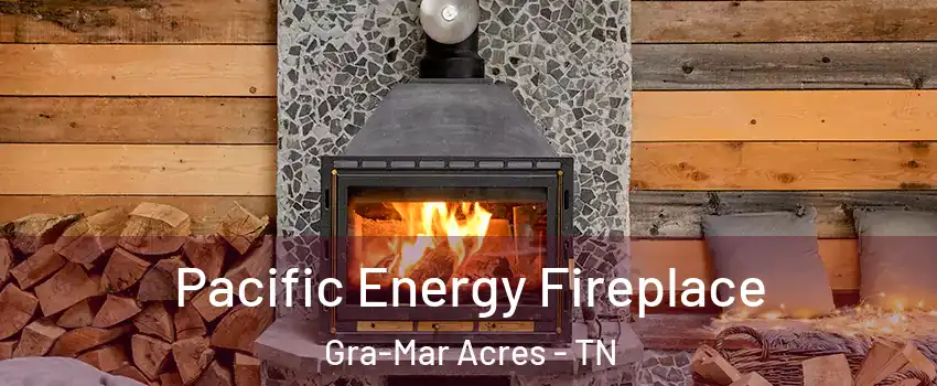 Pacific Energy Fireplace Gra-Mar Acres - TN