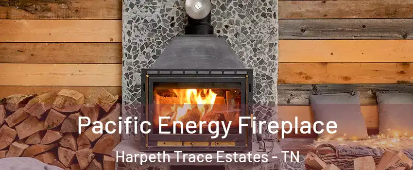 Pacific Energy Fireplace Harpeth Trace Estates - TN