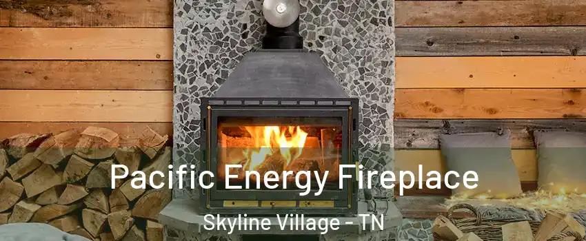 Pacific Energy Fireplace Skyline Village - TN