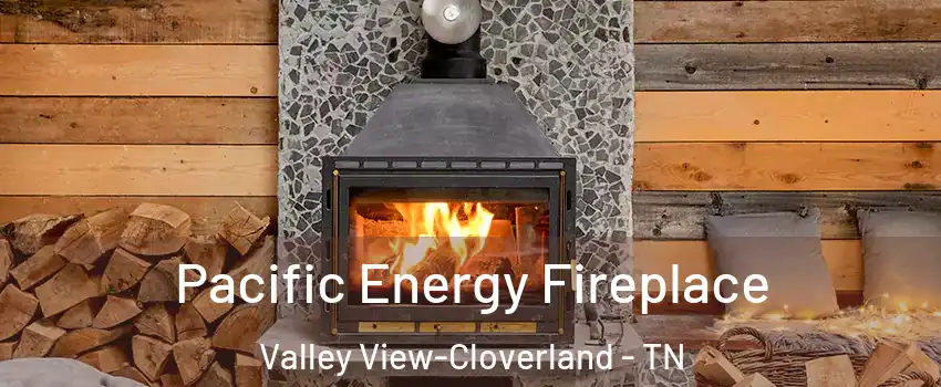 Pacific Energy Fireplace Valley View-Cloverland - TN