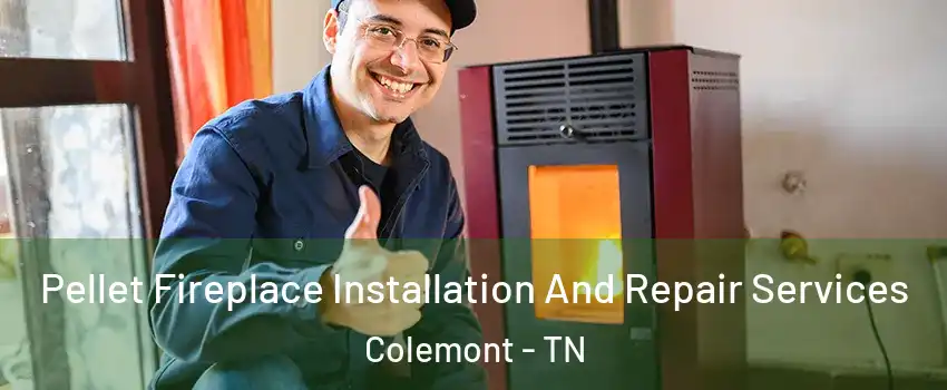 Pellet Fireplace Installation And Repair Services Colemont - TN