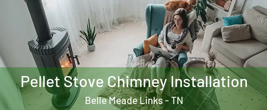 Pellet Stove Chimney Installation Belle Meade Links - TN