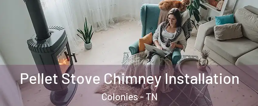 Pellet Stove Chimney Installation Colonies - TN