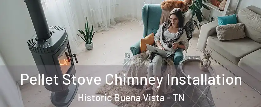 Pellet Stove Chimney Installation Historic Buena Vista - TN