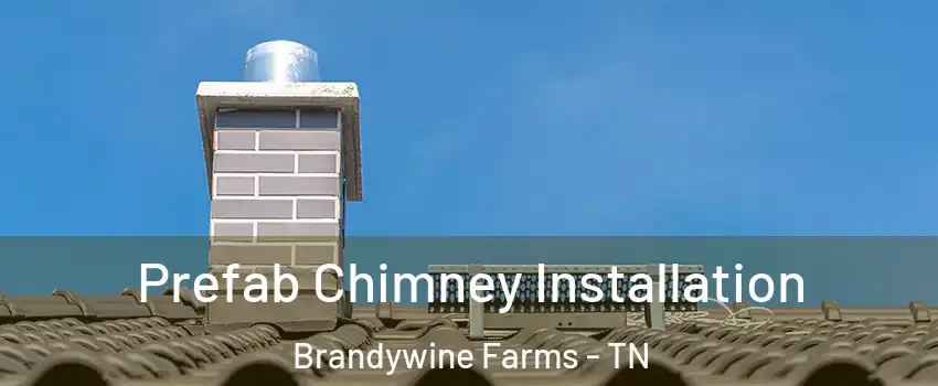 Prefab Chimney Installation Brandywine Farms - TN