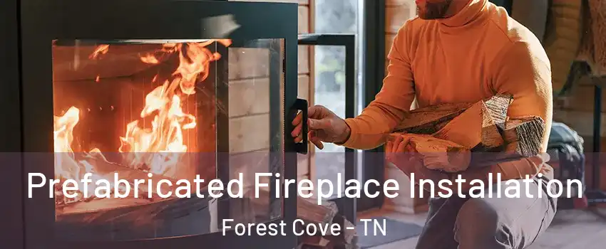 Prefabricated Fireplace Installation Forest Cove - TN