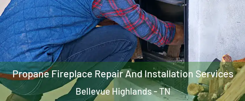 Propane Fireplace Repair And Installation Services Bellevue Highlands - TN