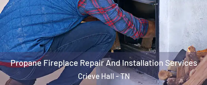 Propane Fireplace Repair And Installation Services Crieve Hall - TN