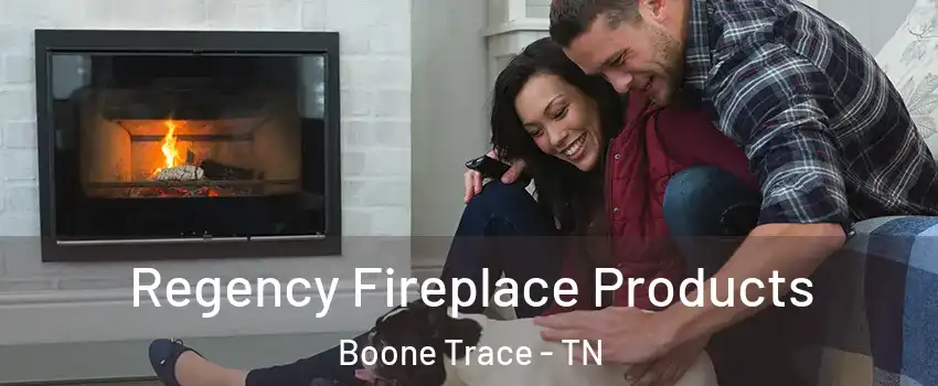 Regency Fireplace Products Boone Trace - TN