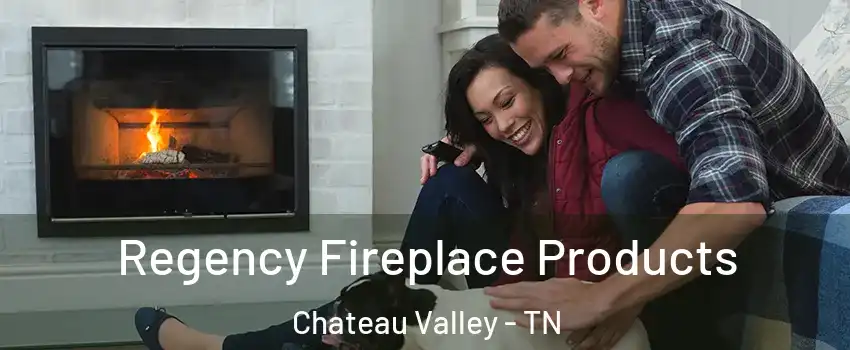 Regency Fireplace Products Chateau Valley - TN