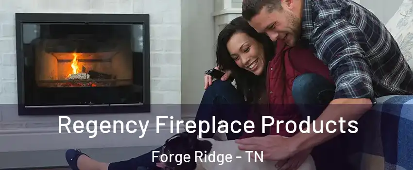 Regency Fireplace Products Forge Ridge - TN