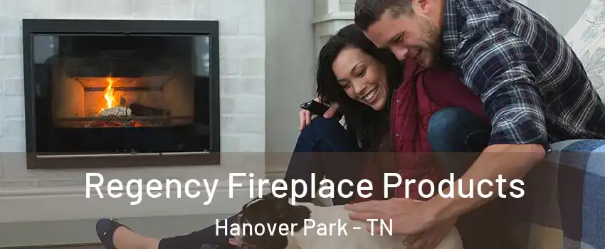 Regency Fireplace Products Hanover Park - TN