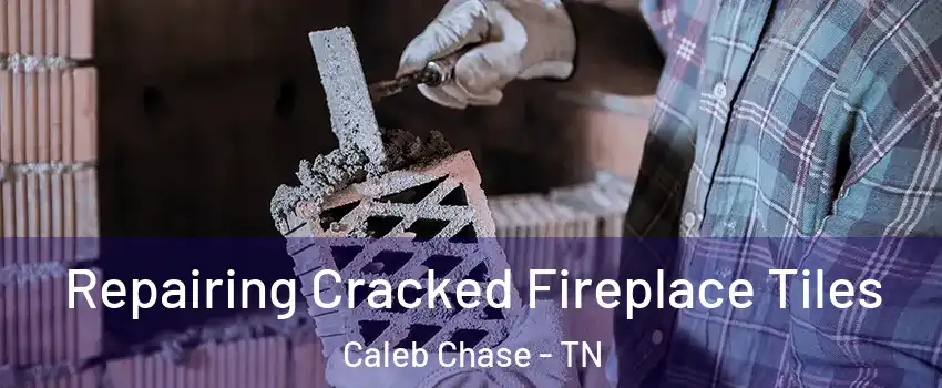 Repairing Cracked Fireplace Tiles Caleb Chase - TN