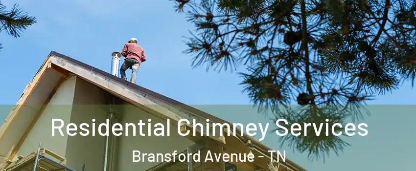 Residential Chimney Services Bransford Avenue - TN