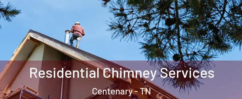 Residential Chimney Services Centenary - TN