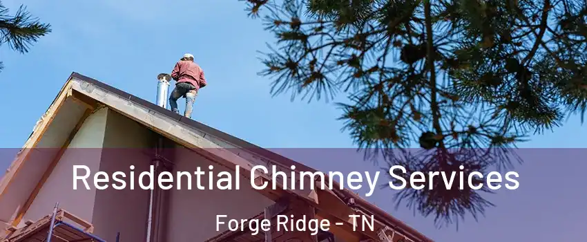 Residential Chimney Services Forge Ridge - TN