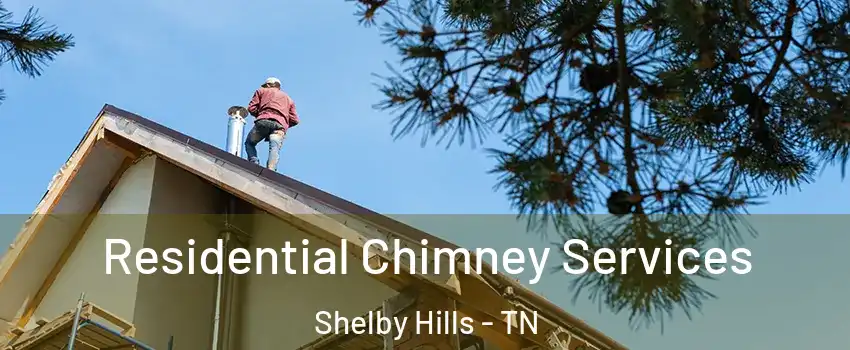 Residential Chimney Services Shelby Hills - TN