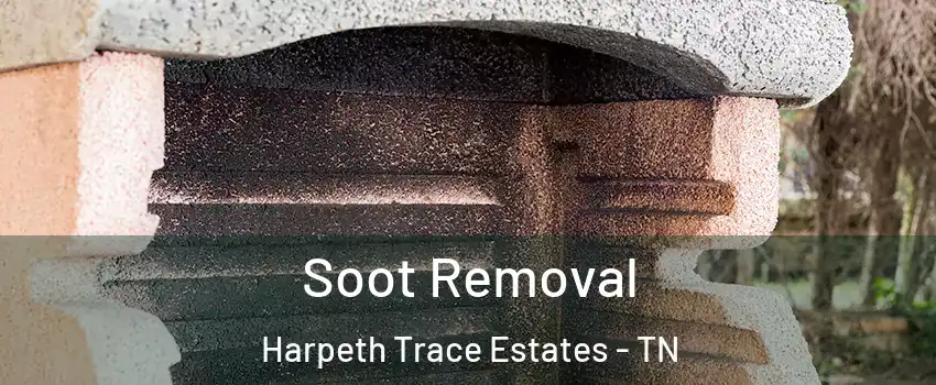 Soot Removal Harpeth Trace Estates - TN