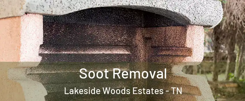 Soot Removal Lakeside Woods Estates - TN