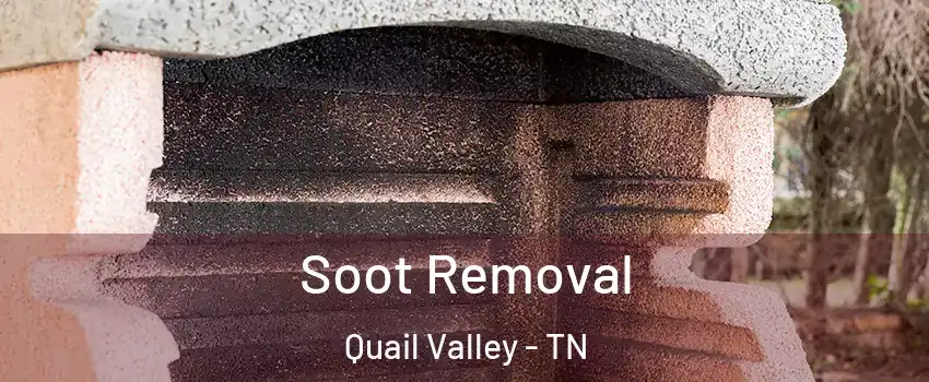 Soot Removal Quail Valley - TN