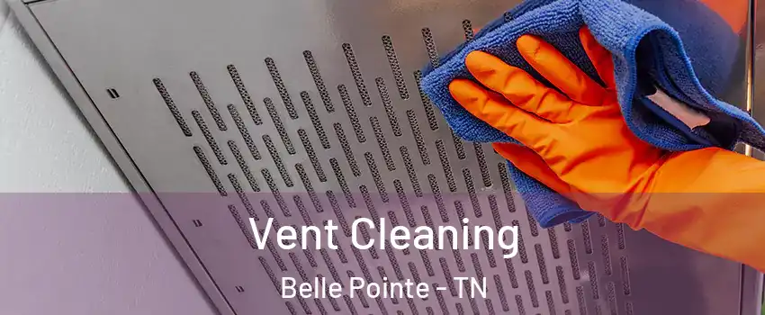 Vent Cleaning Belle Pointe - TN