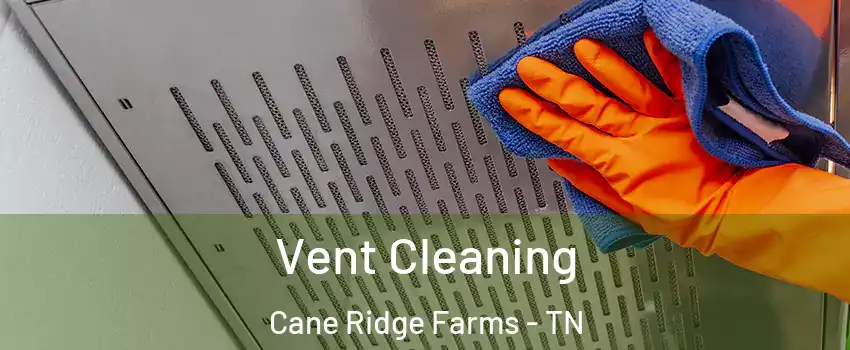 Vent Cleaning Cane Ridge Farms - TN