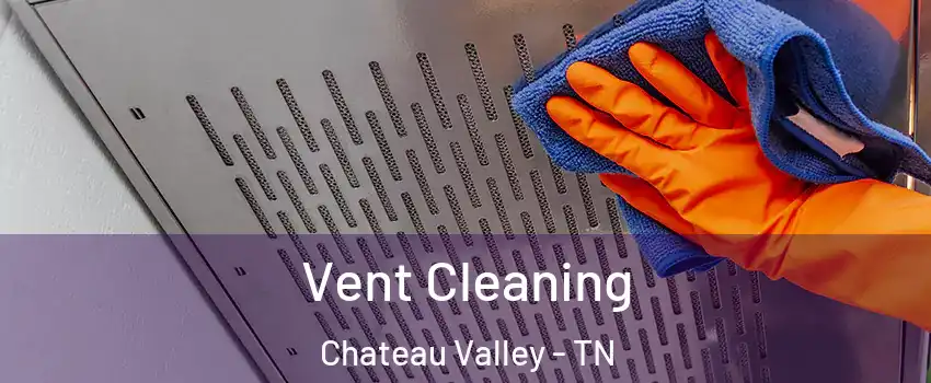 Vent Cleaning Chateau Valley - TN