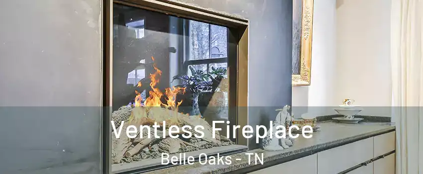 Ventless Fireplace Belle Oaks - TN