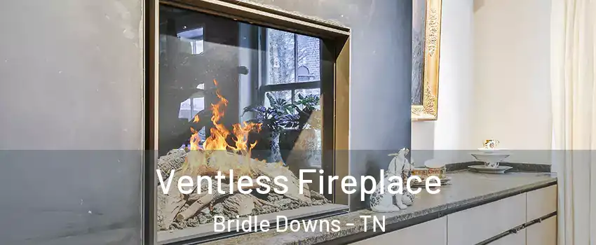 Ventless Fireplace Bridle Downs - TN