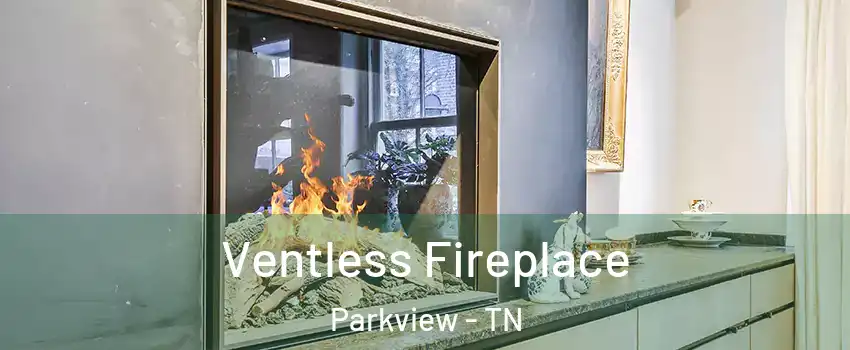 Ventless Fireplace Parkview - TN