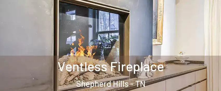 Ventless Fireplace Shepherd Hills - TN