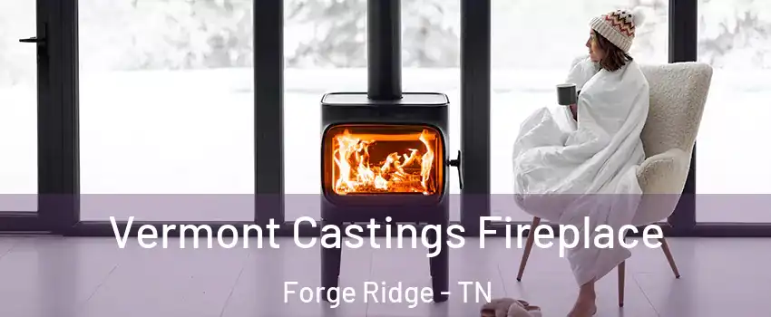 Vermont Castings Fireplace Forge Ridge - TN