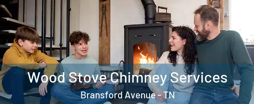 Wood Stove Chimney Services Bransford Avenue - TN