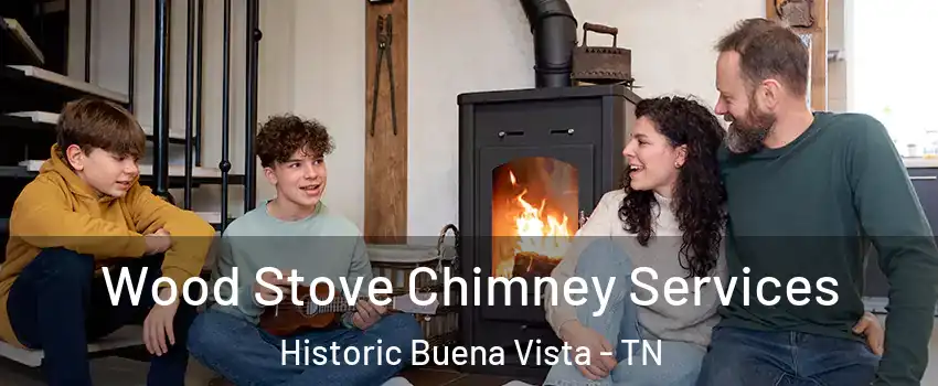 Wood Stove Chimney Services Historic Buena Vista - TN