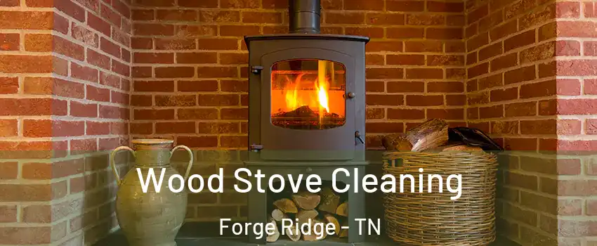 Wood Stove Cleaning Forge Ridge - TN