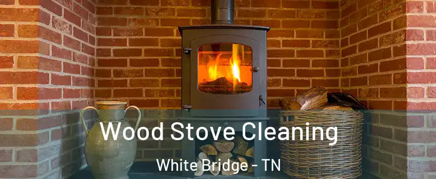 Wood Stove Cleaning White Bridge - TN