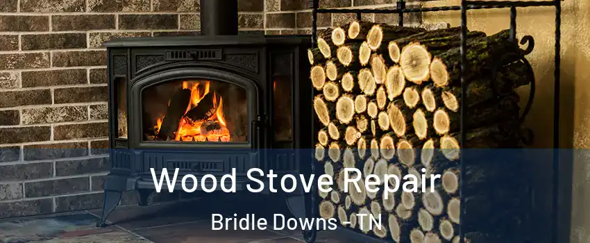 Wood Stove Repair Bridle Downs - TN