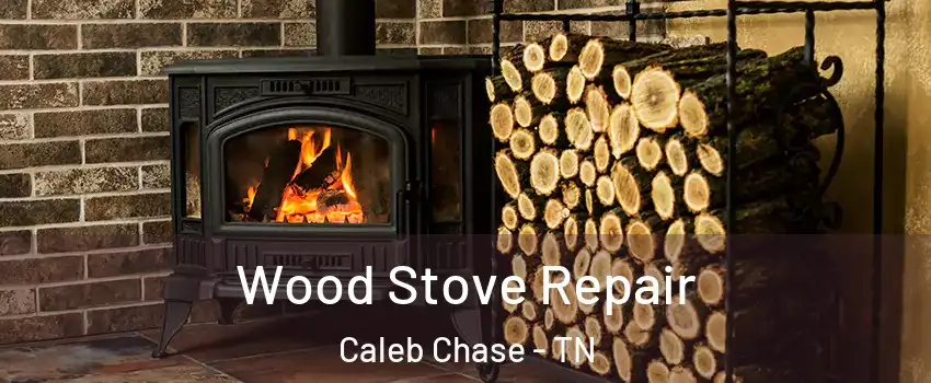 Wood Stove Repair Caleb Chase - TN