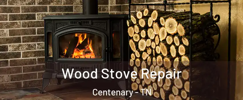 Wood Stove Repair Centenary - TN