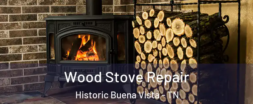 Wood Stove Repair Historic Buena Vista - TN