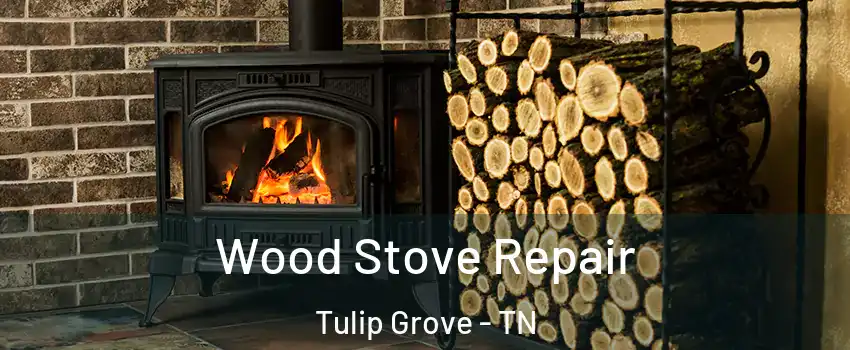 Wood Stove Repair Tulip Grove - TN